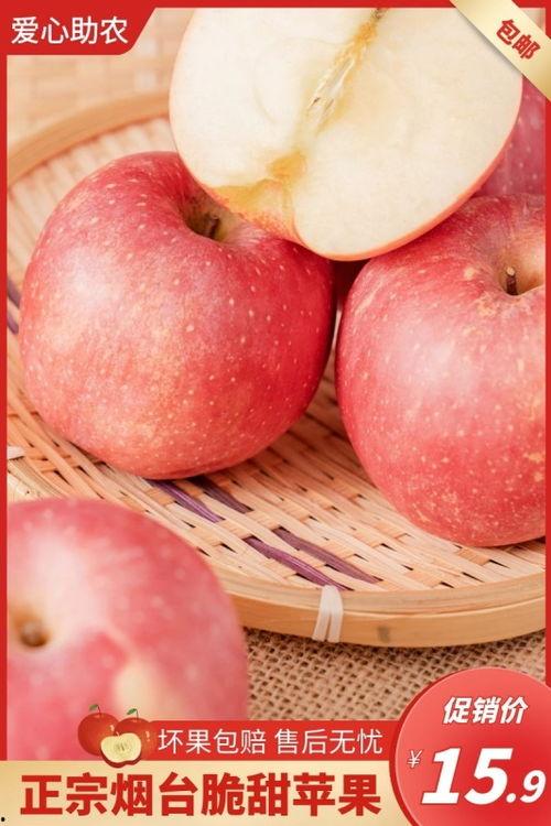 大西瓜A片在线视频