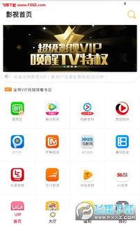 在线视频搜索平台,在线内容搜索的奥秘与趋势