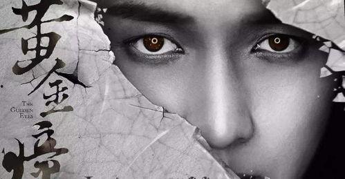 黄金瞳全部在线视频,探寻宝藏的传奇之旅