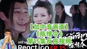 陈情令15在线视频