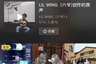 咿呀咿呀在线视频观看,在线视频盛宴的精彩瞬间