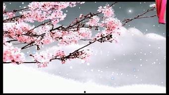 天堂丁香九九在线视频,揭秘神秘在线视频背后的故事