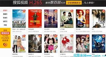 综合h在线视频,内容丰富，精彩纷呈的视觉盛宴